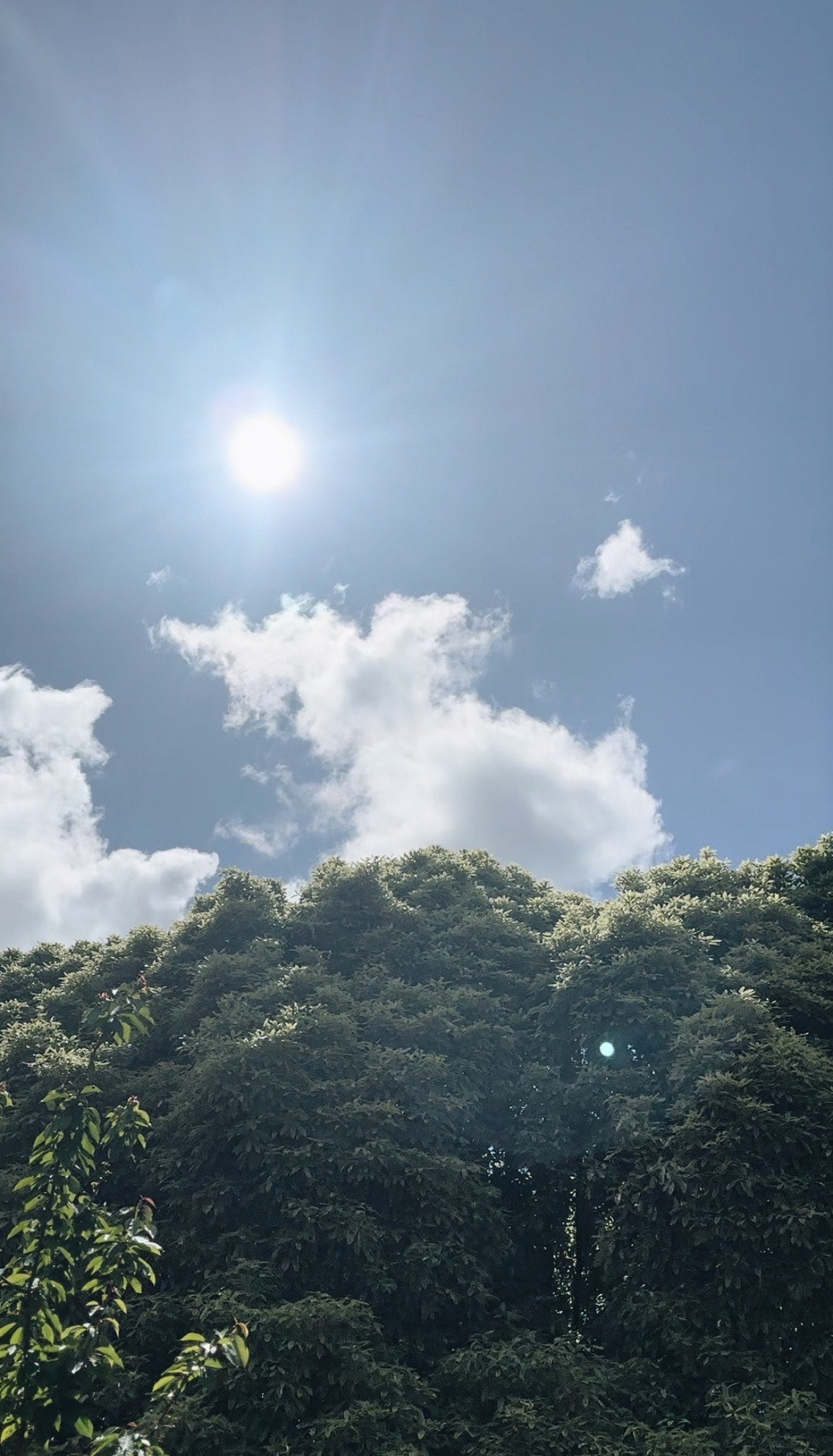 7 Biohacks That Actually Work (And Cost Less Than a Smoothie)