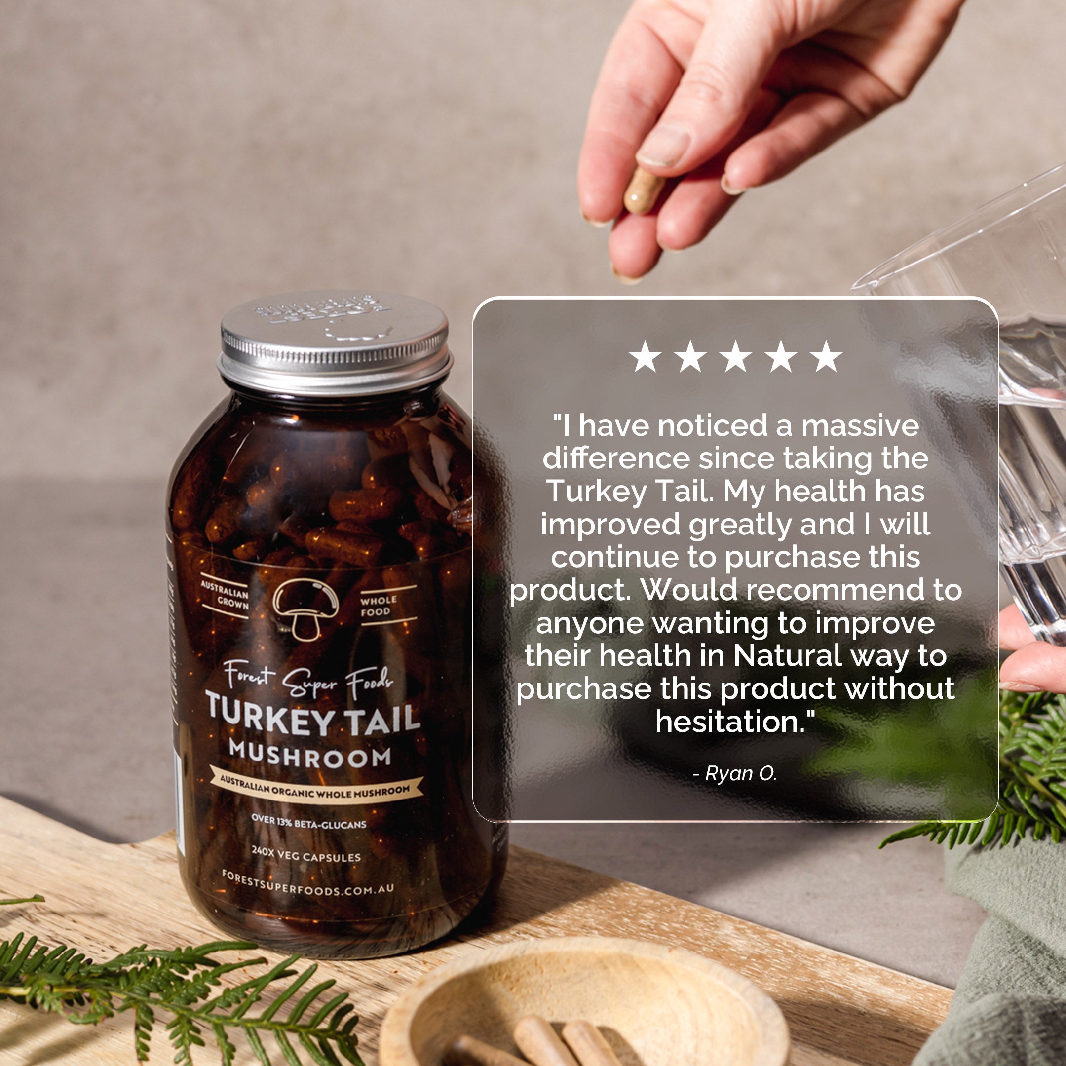 Benefits of Turkey Tail Mushroom: A Gut Health Ally