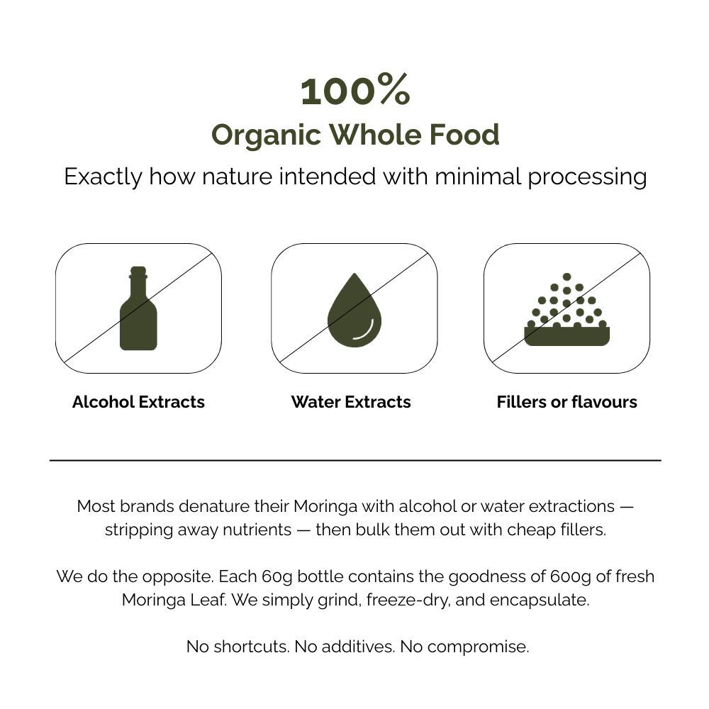 100% 有機純 Moringa 葉的廣告,附有關於酒精萃取物、水萃取物和填充物的圖示和文字。