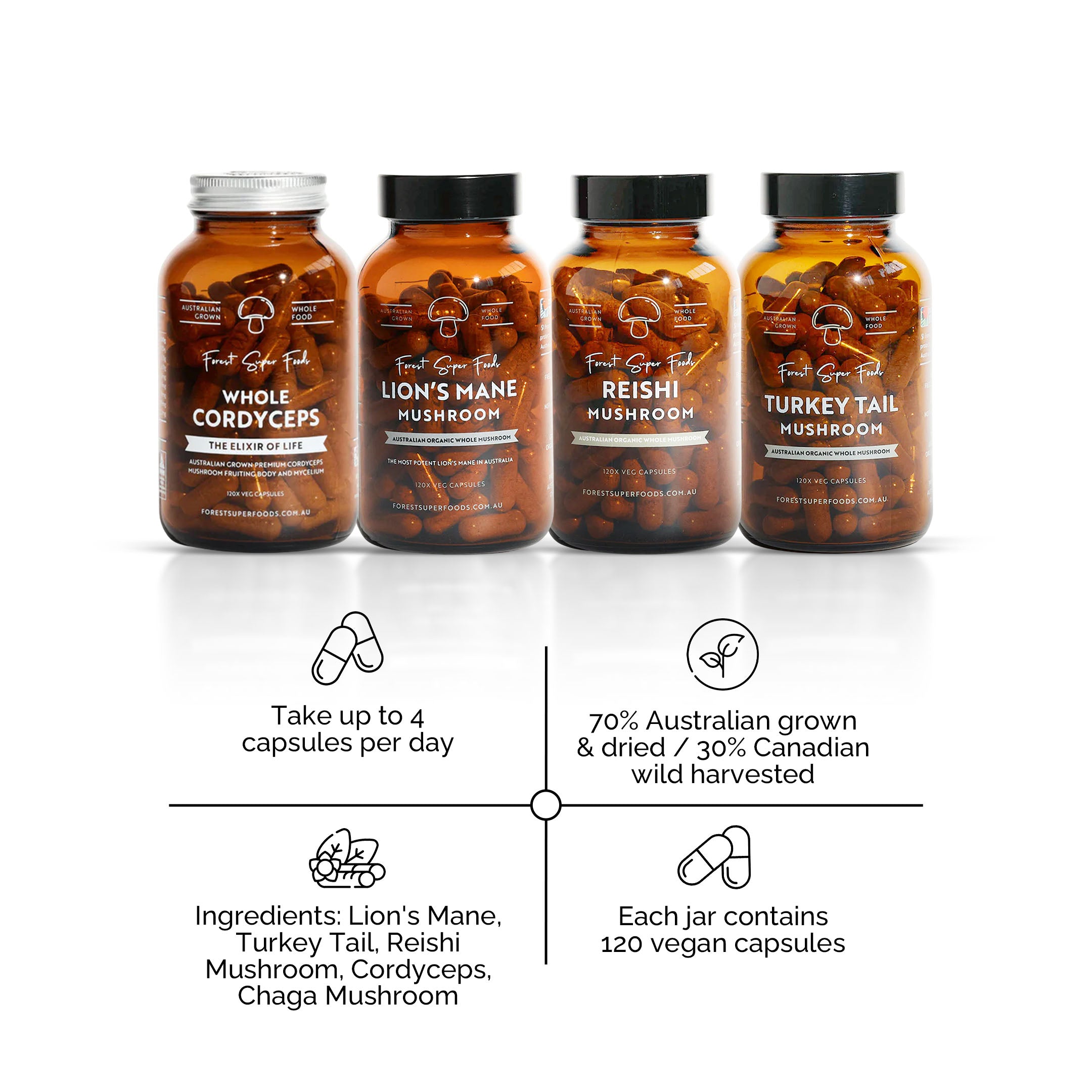 Australian Grown Mushroom Bundle featuring Cordyceps, Lion’s Mane, Reishi, and Turkey Tail vegan capsules by Forest Super Foods