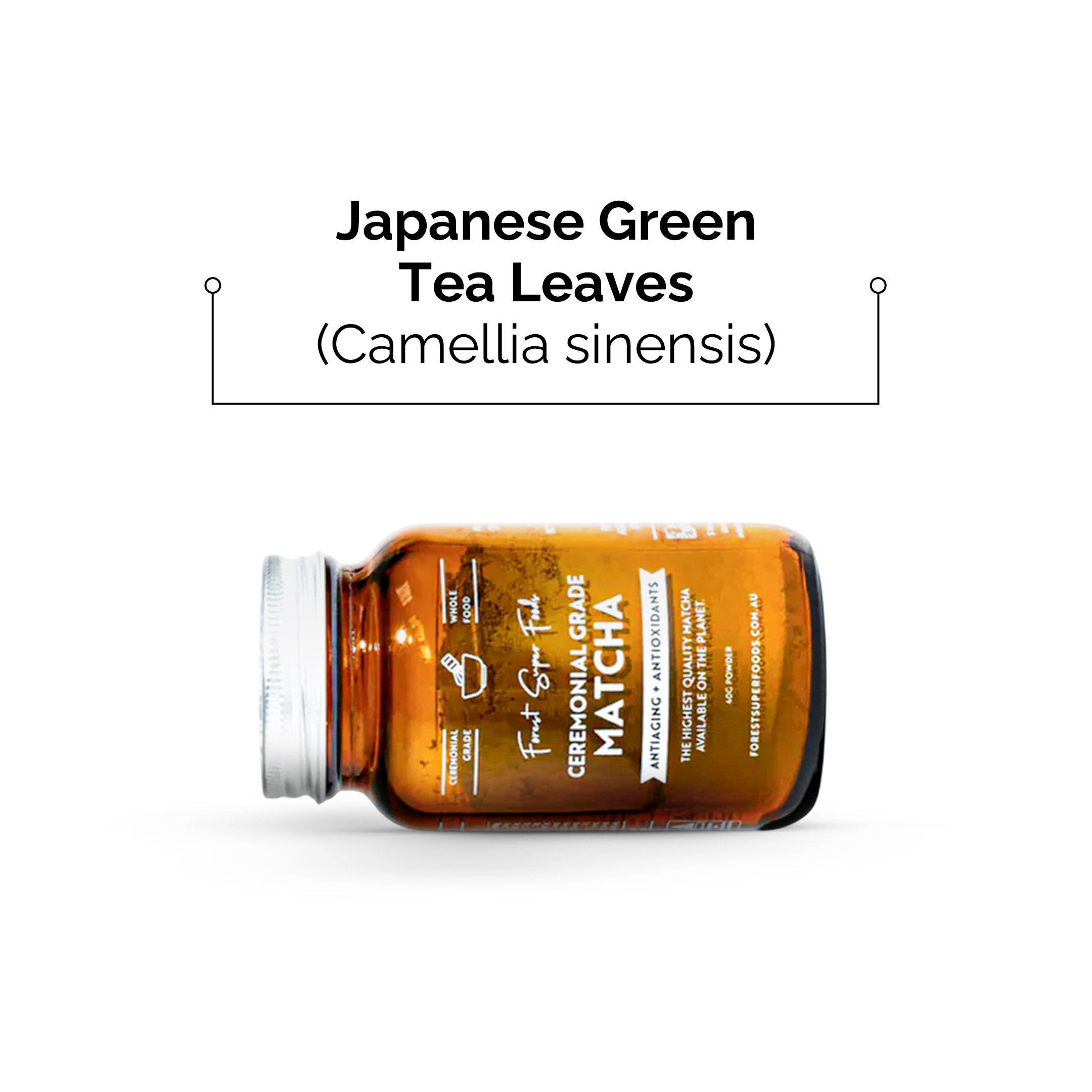 禮儀級抹茶綠茶葉