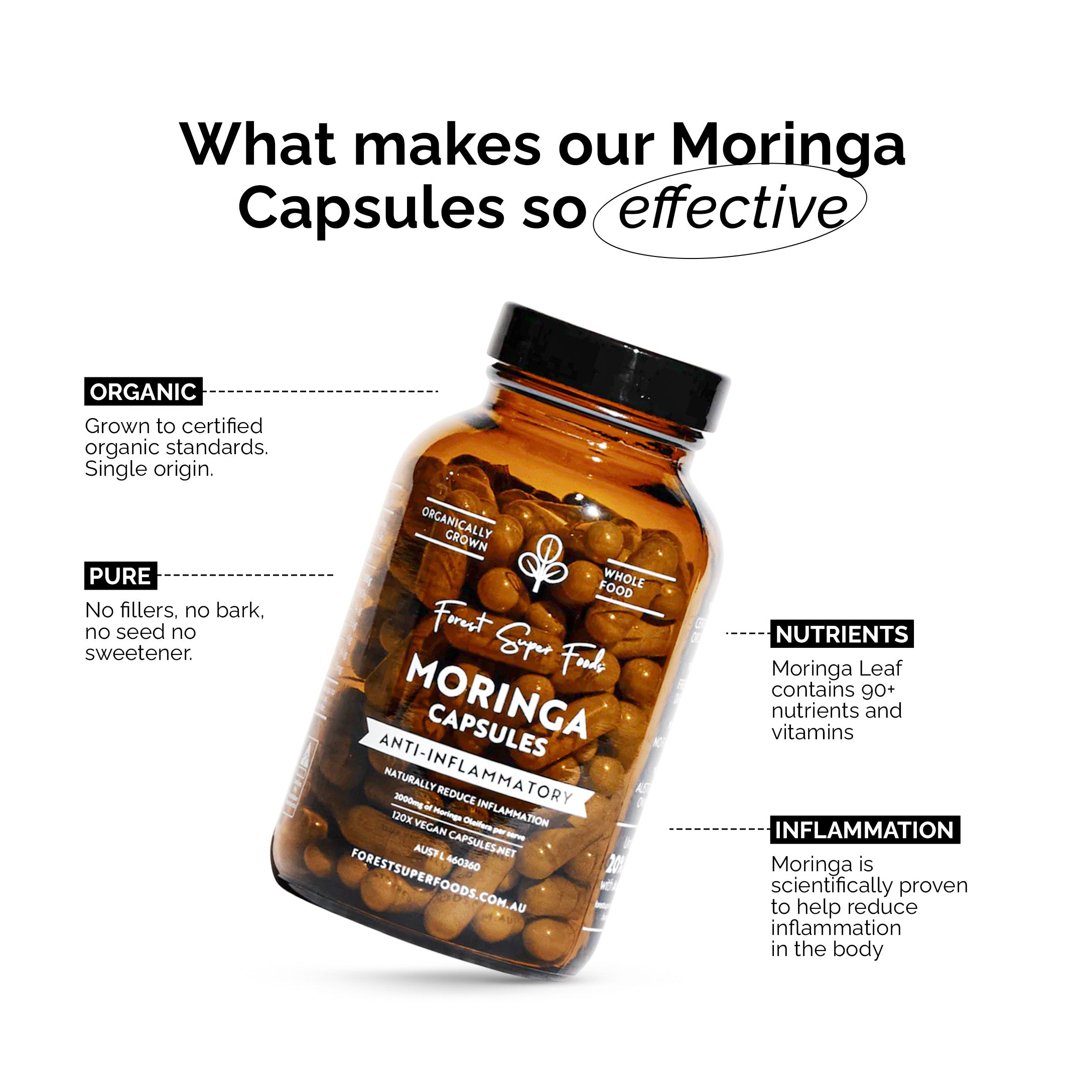 是什麼讓我們的 Moringa 膠囊如此有效?
