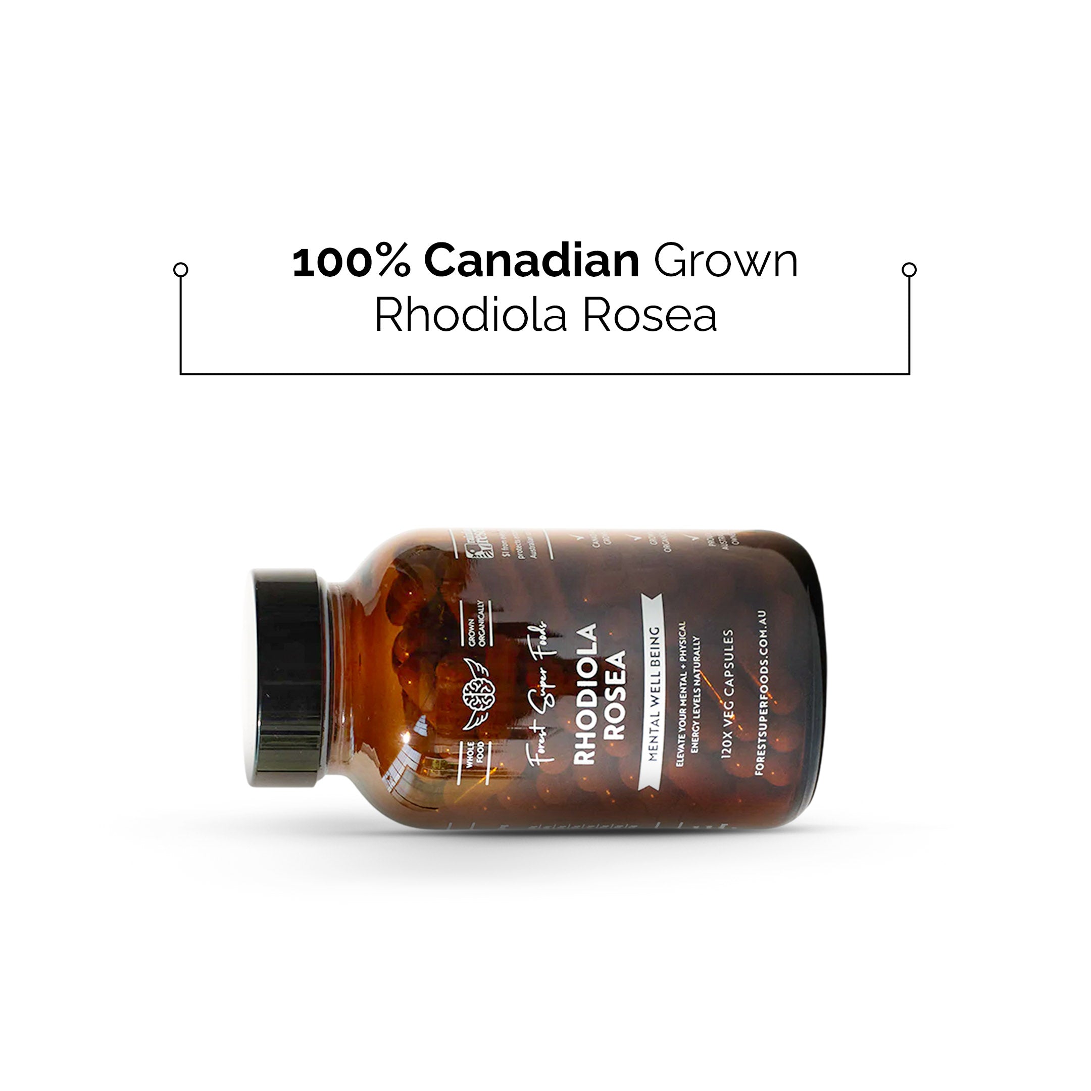 Whole Rhodiola Rosea