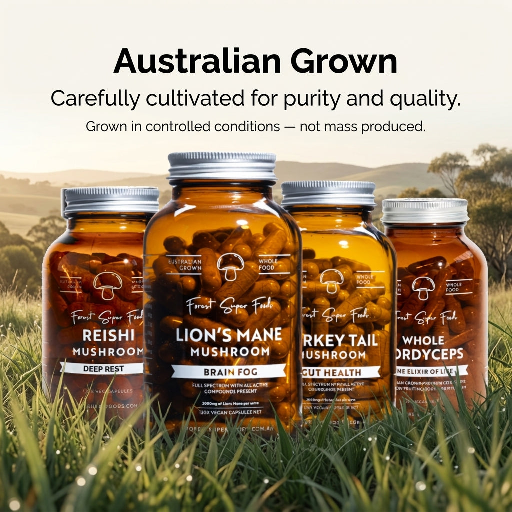 The Daily Mushroom Stack