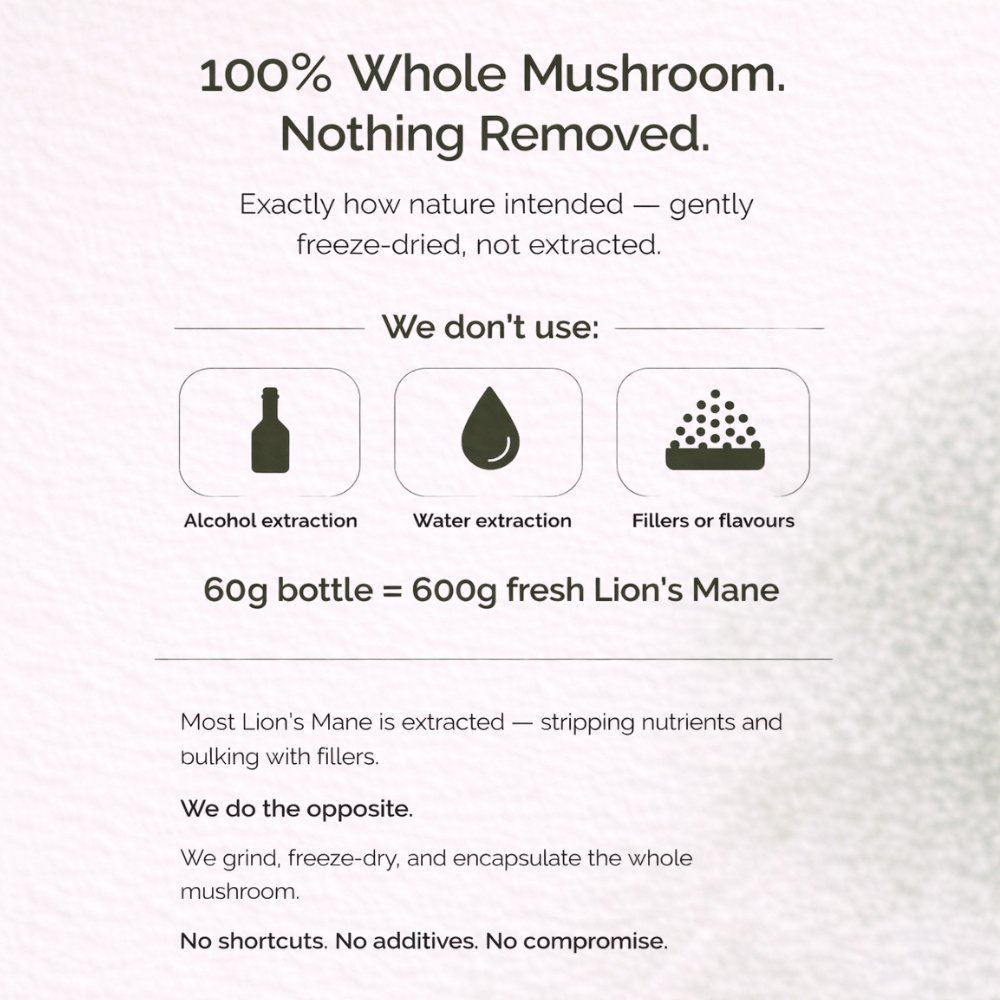 Australian Grown Lions Mane Mushroom Capsules