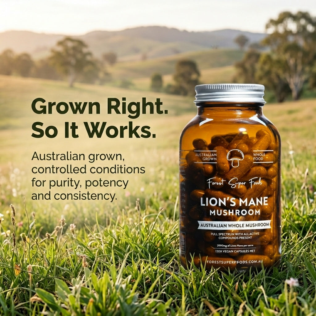 Lions Mane Whole Mushroom Capsules