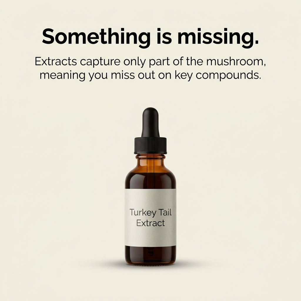 Australian Grown Turkey Tail Powder