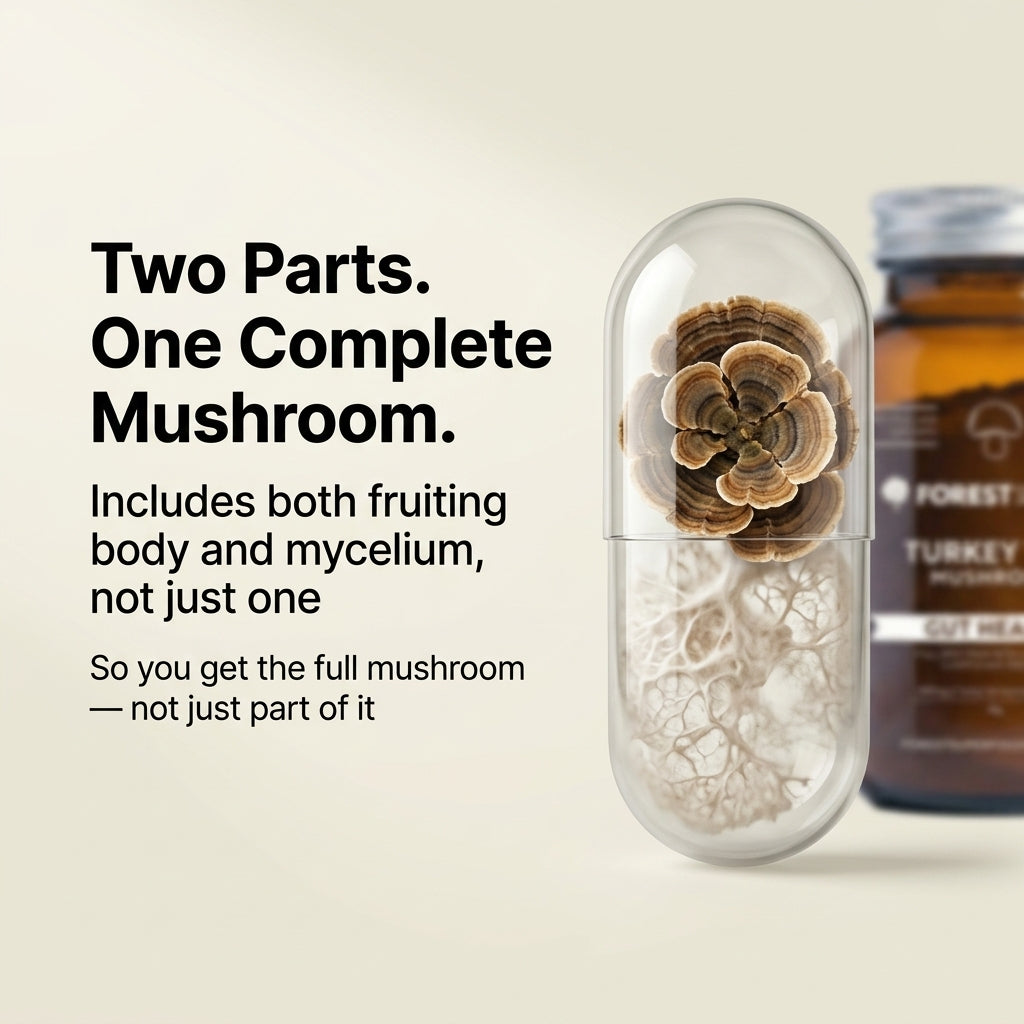 Australian Grown Turkey Tail Powder