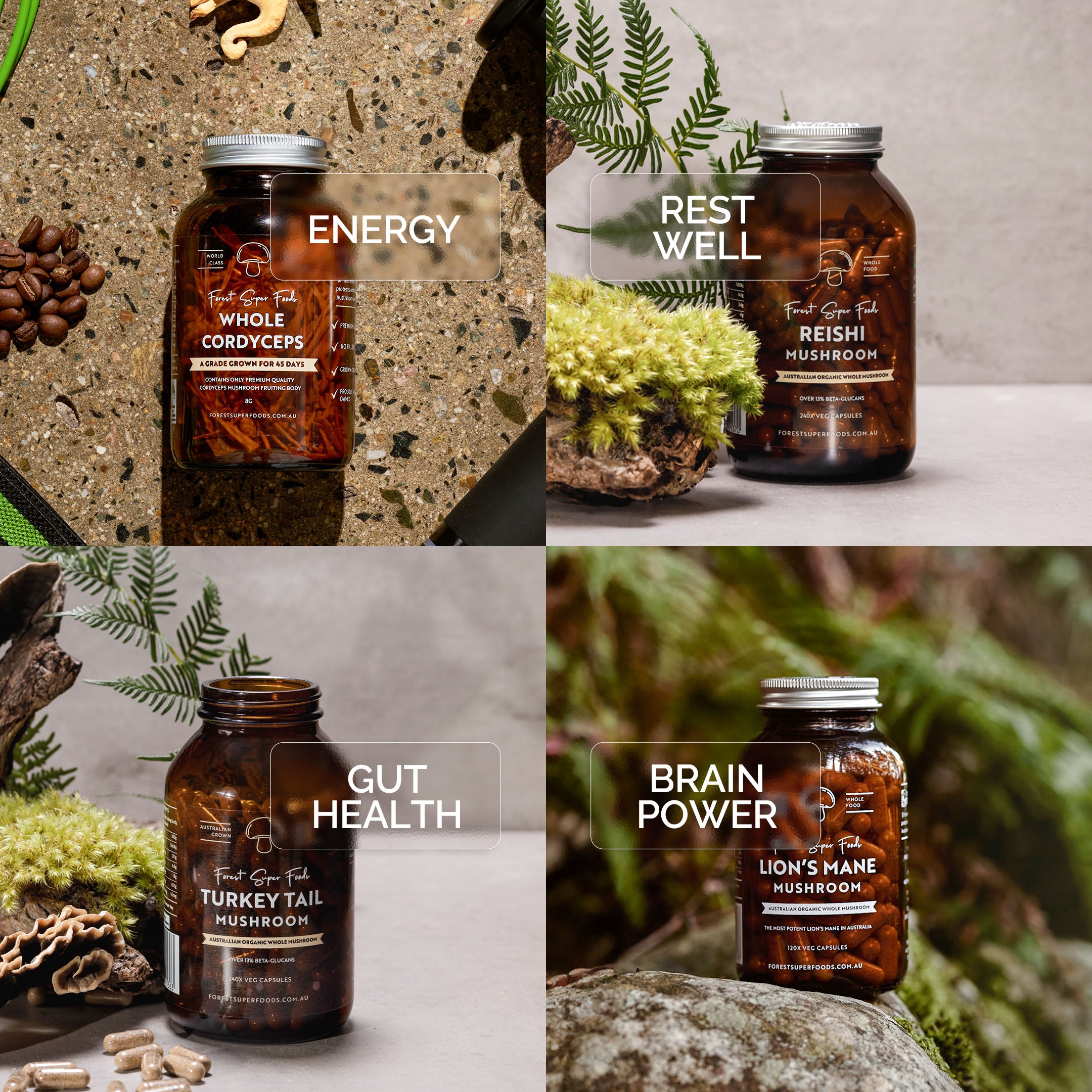 The Daily Mushroom Stack