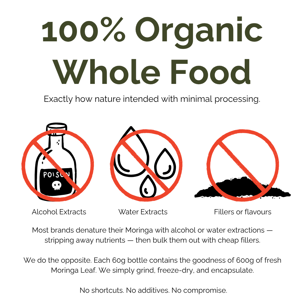 Advertisement for 100% organic pure Moringa leaf with icons and text about alcohol extracts, water extracts, and fillers.