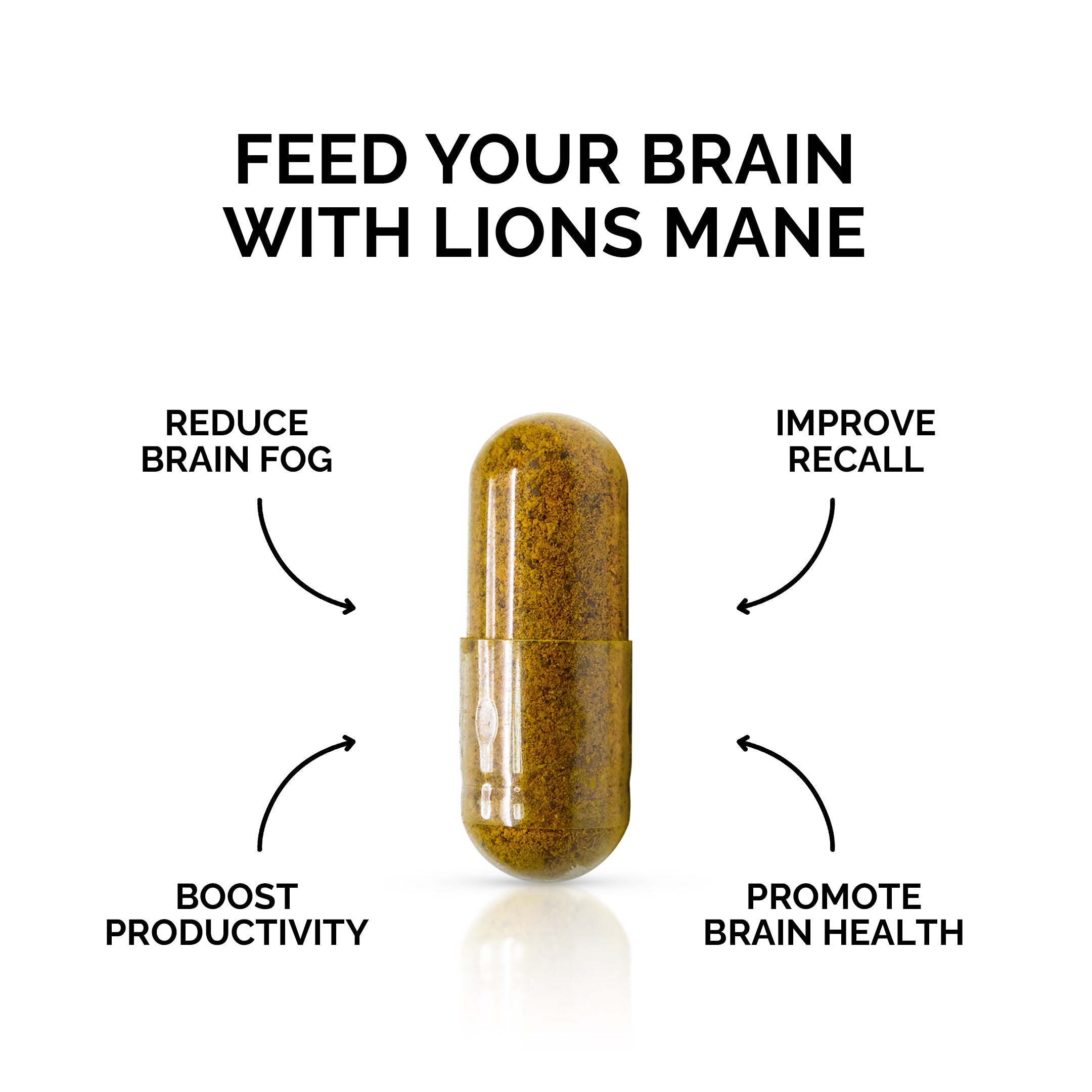 blog-1-1 Australian Lion's Mane Mushroom Capsules | Forest Super Foods