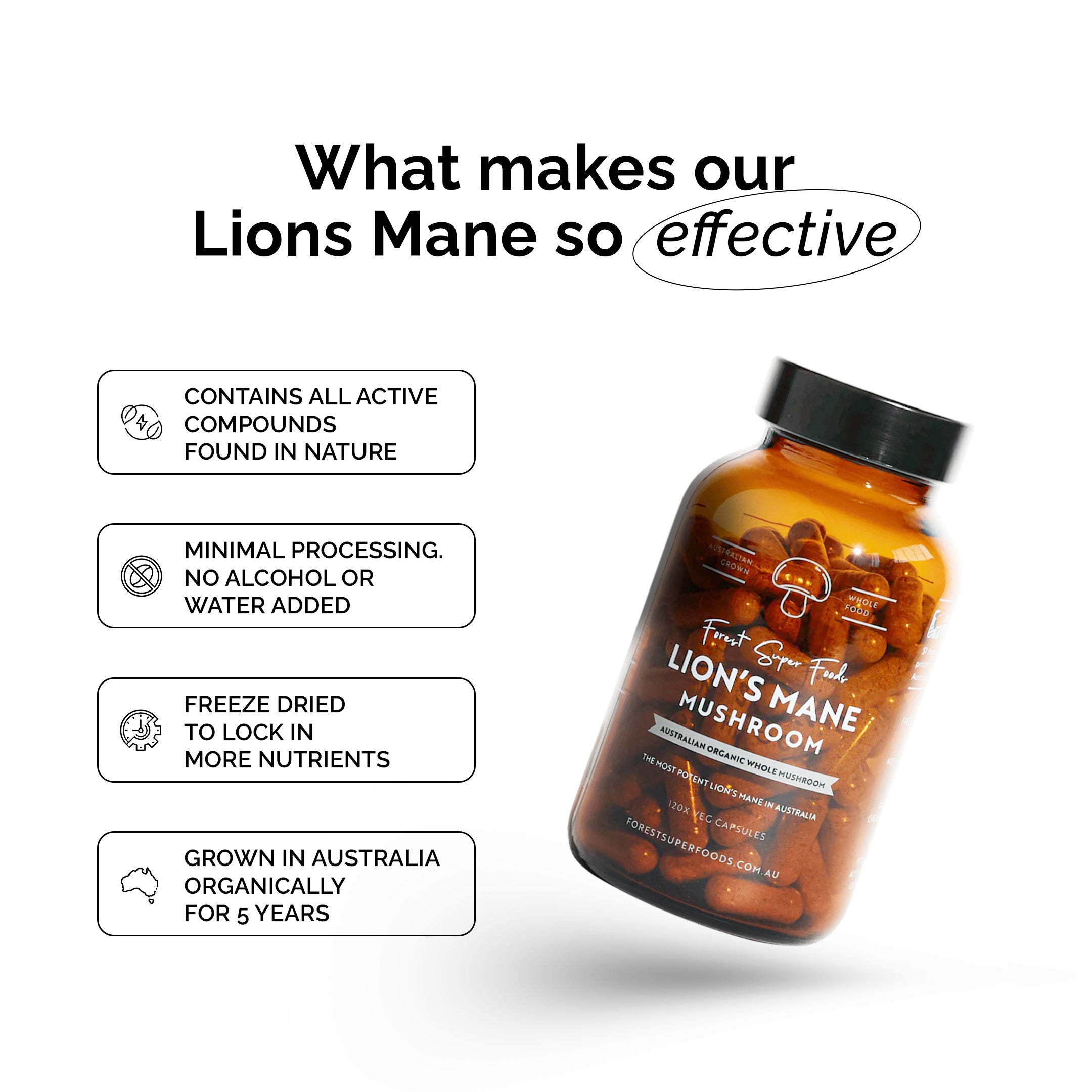 Australian Grown Lions Mane Mushroom Capsules