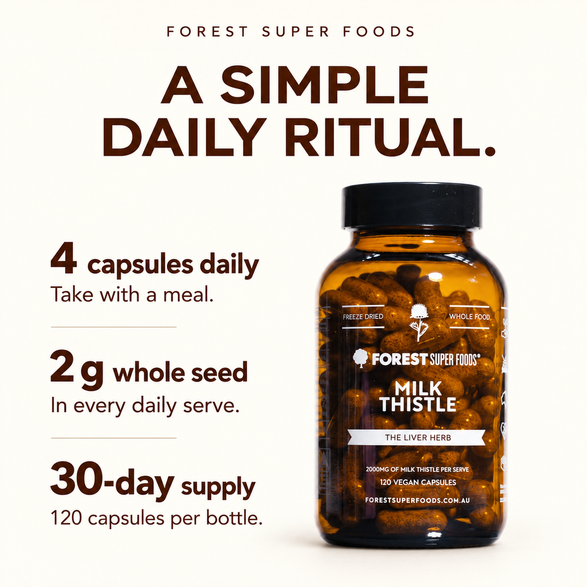 Milk Thistle
