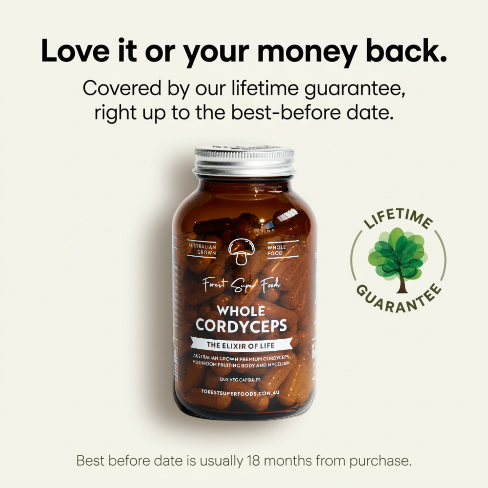 Australian Grown Cordyceps Mushroom