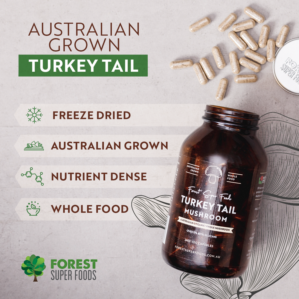 Australian Turkey Tail Mushroom | Buy Online - Forest Super Foods