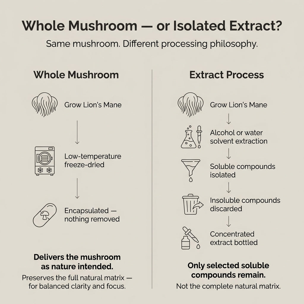 Australian Grown Lions Mane Mushroom Capsules
