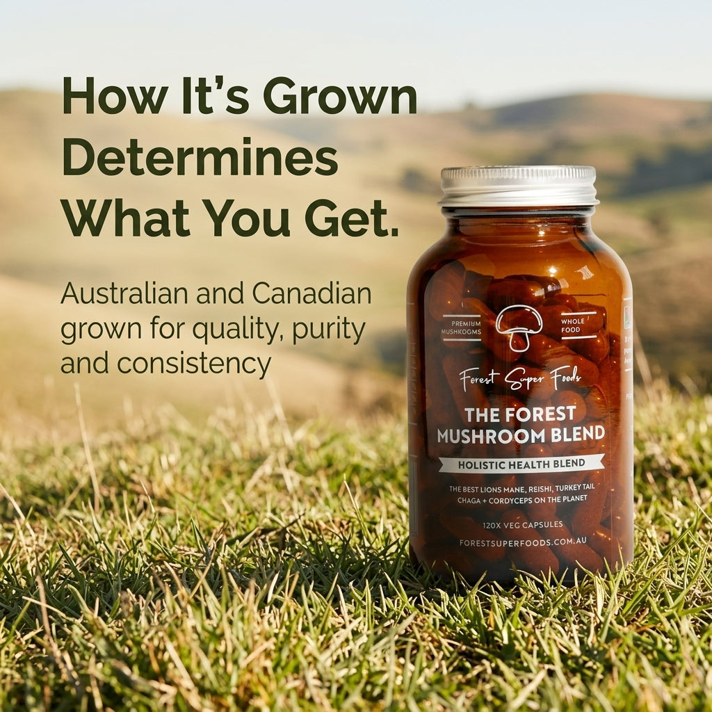 Mushroom Blend Capsules