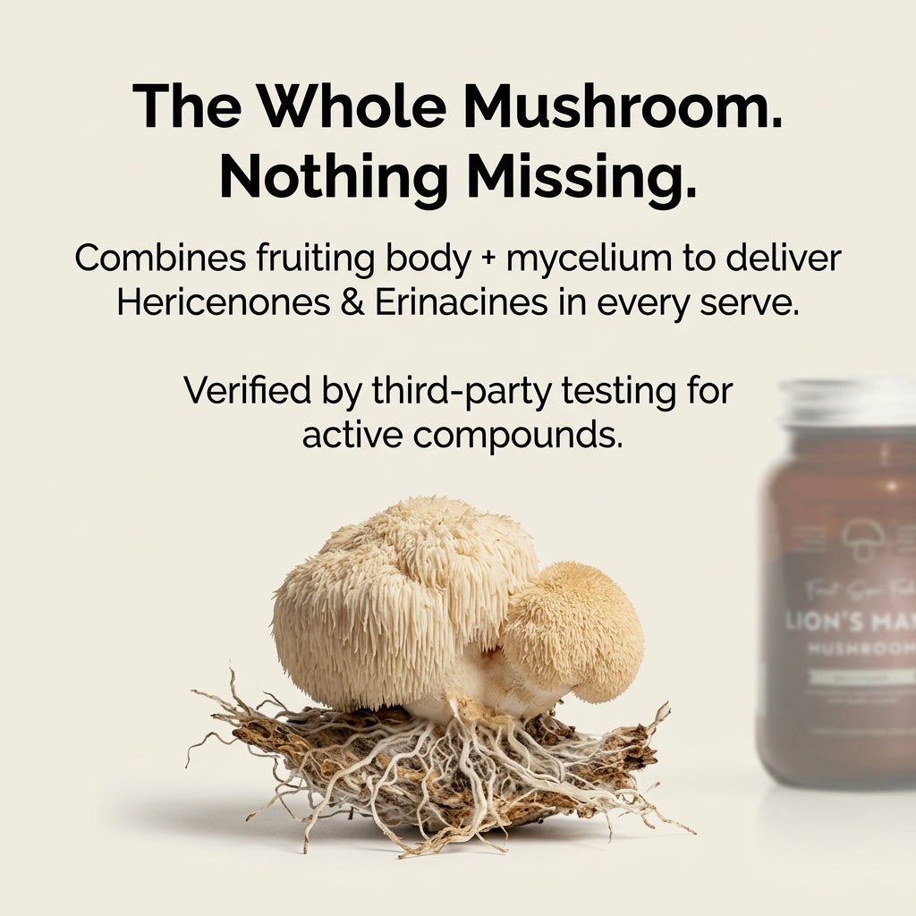 Melena de león en polvo cultivada en Australia