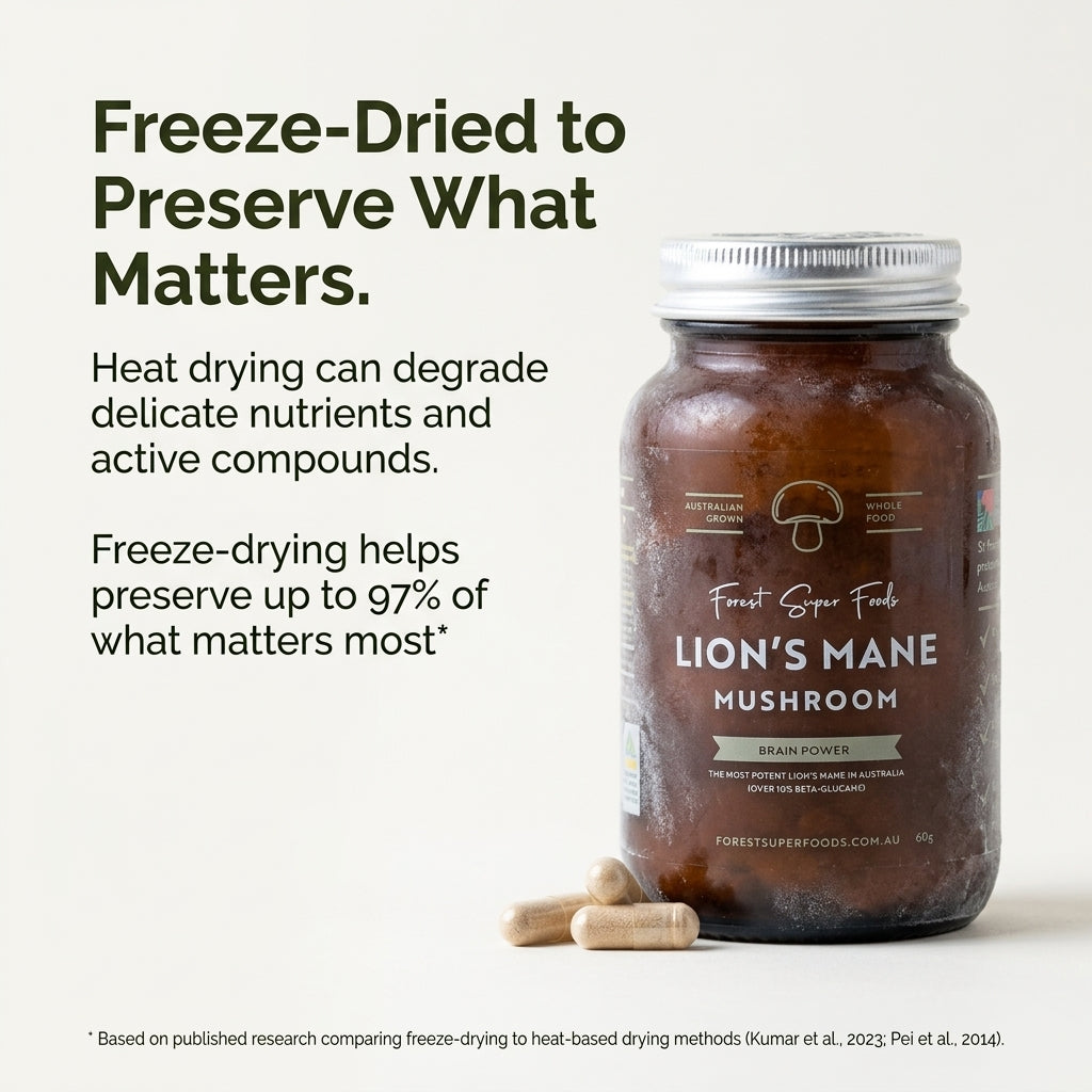 Melena de león en polvo cultivada en Australia