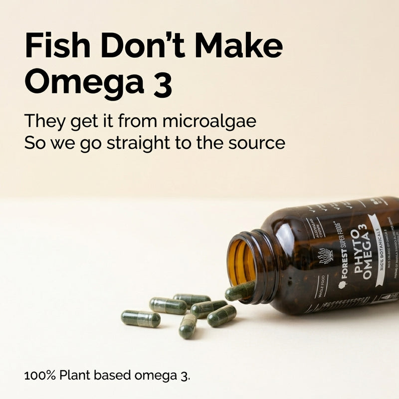 Phyto Omega 3 – Plant-Based Omega 3 Australia | FSF
