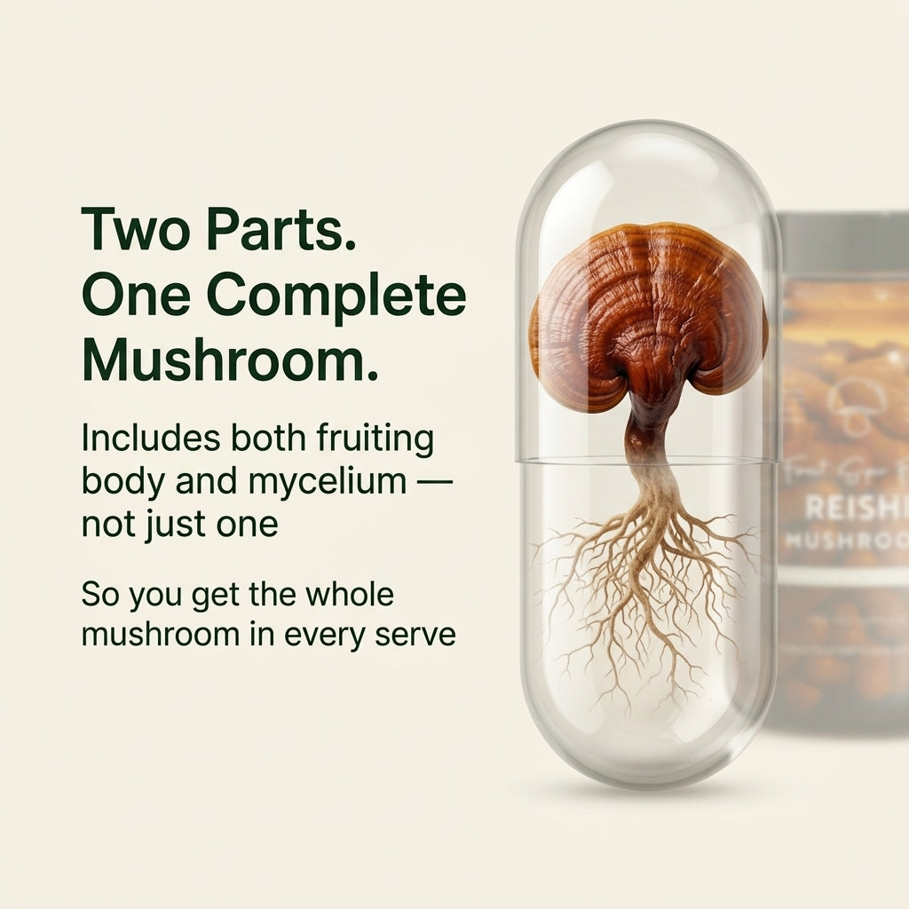 Australian Grown Reishi Mushroom Capsules