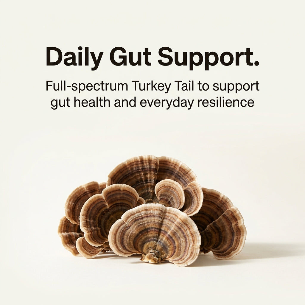 Australian Grown Turkey Tail Capsules