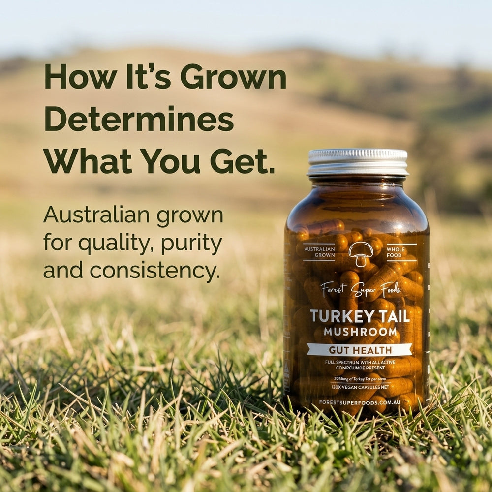 Australian Turkey Tail Mushroom Capsules | FSF