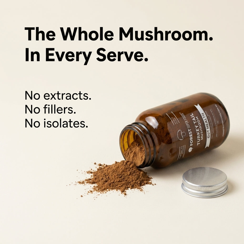 Australian Grown Turkey Tail Powder