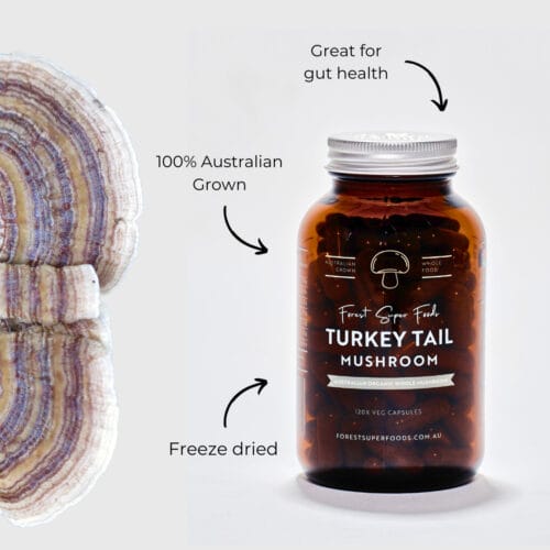 turkey tail benefits