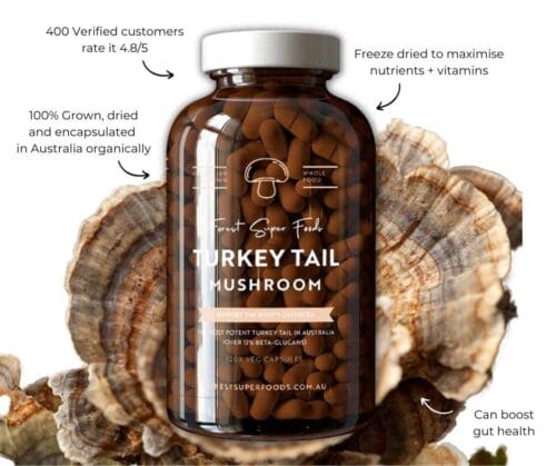 Turkey Tail can help to boost gut health and support your body's natural defenses