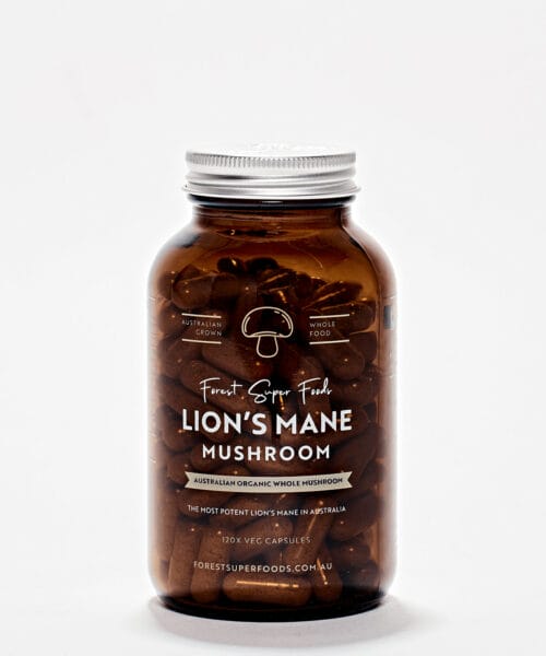Best quality whole Lions Mane mushroom super food