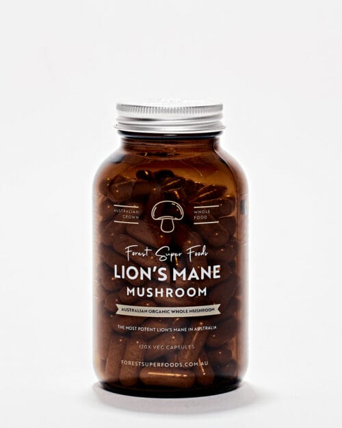 Best quality whole Lions Mane mushroom super food