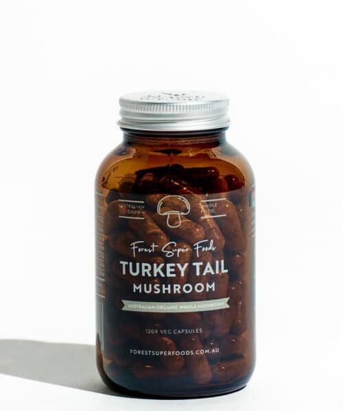 Turkey tail Boost gut health and support your body's natural defences